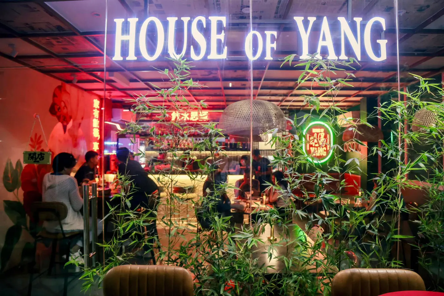 House of Yang